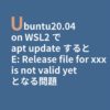 eye_catch_time_error_for_ubuntu_on_wsl2